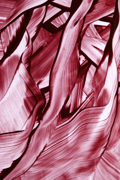 Free Close-up of abstract red and white brushstroke pattern resembling textured fabric or painting. Stock Photo