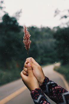 特写镜头中，一只手在宁静的环境里握着野花