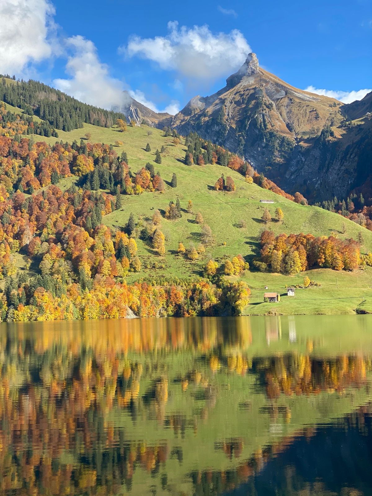 Echte Schweizer Herbstlandschaft mit goldenen Bäumen, See und Bergpanorama