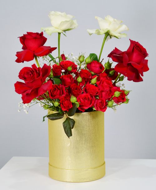 Free Stunning red and white roses arranged in a golden vase, perfect for special occasions. Stock Photo