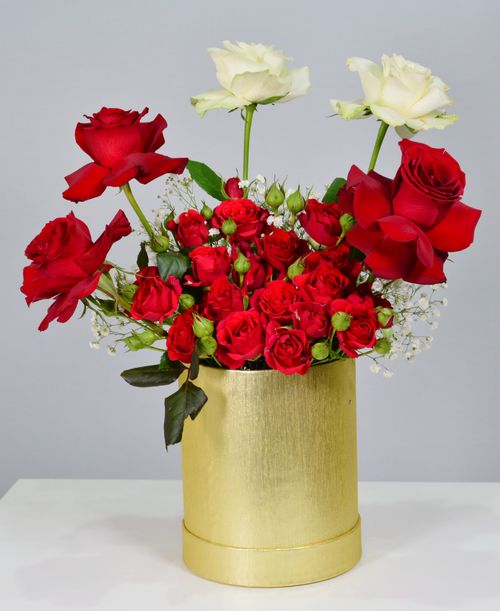 Free Beautiful red and white roses elegantly arranged in a gold vase. Stock Photo
