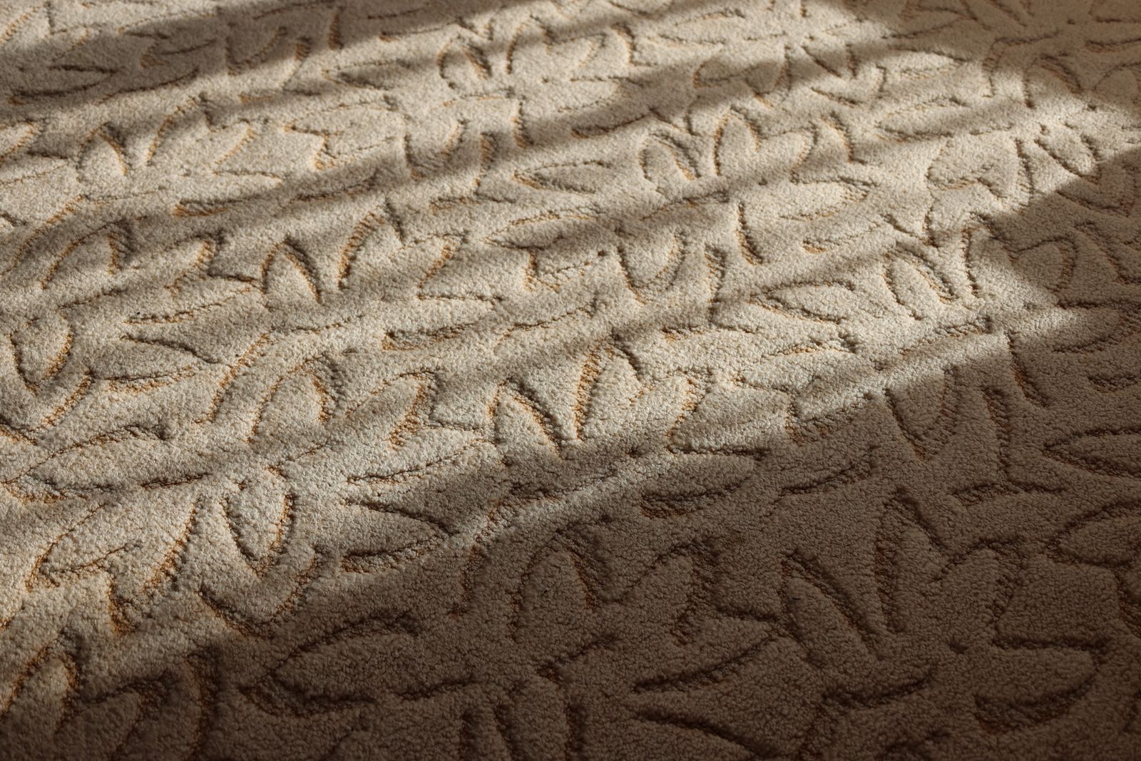 Close detail of clean carpet fibers