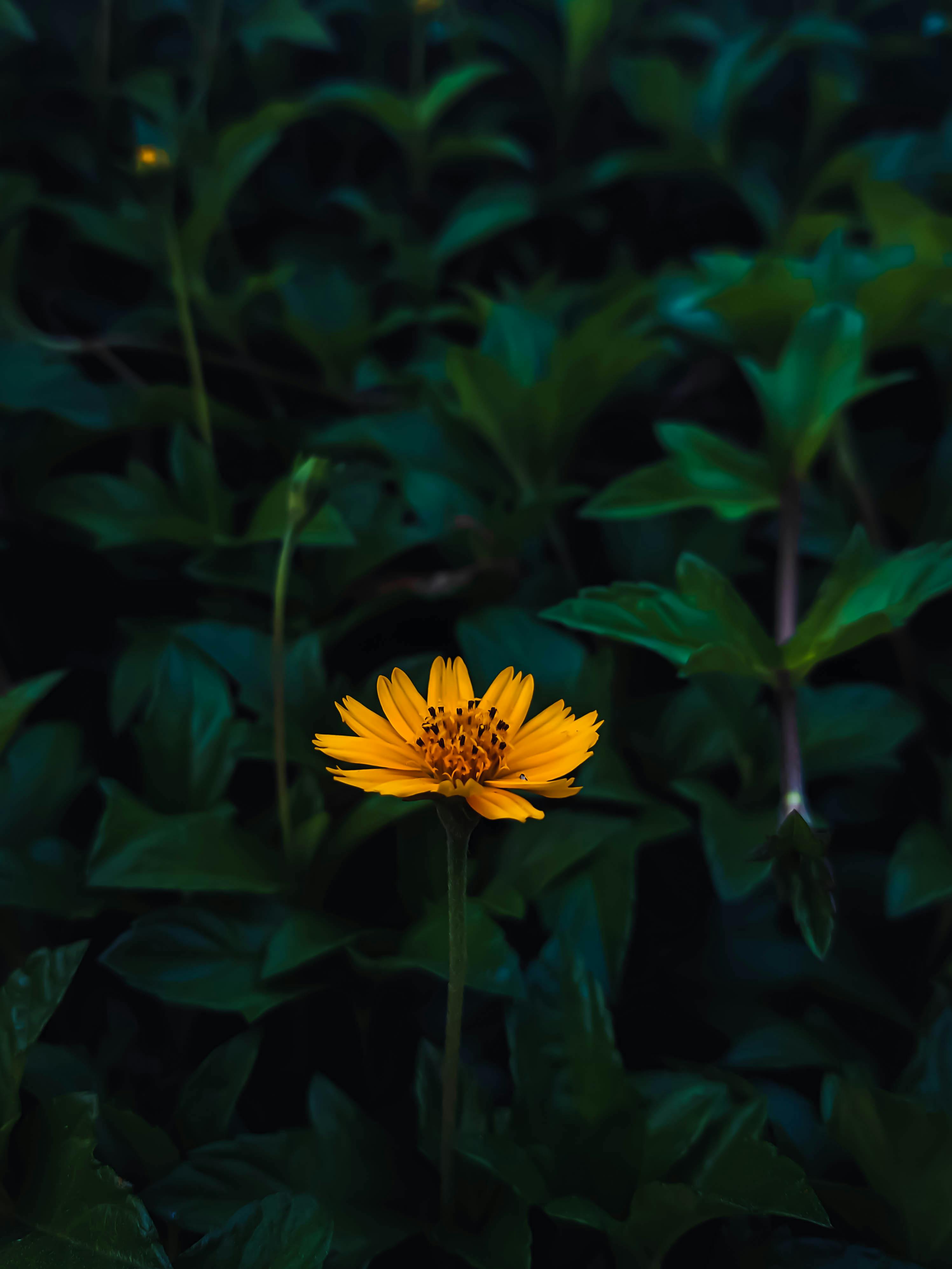 10 Most Common Distractions That Kill Productivity