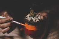 艺术手绘的彩色仙人掌盆特写视图