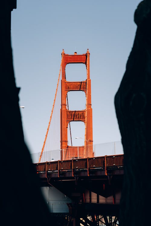 Golden Gate Köprüsü'Nün Düşük Açılı Fotoğrafı
