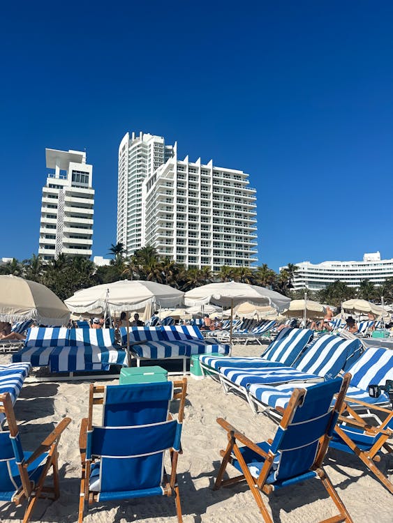 Sunny Beachfront with Luxury High-Rise Hotels · Free Stock Photo