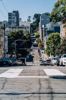 旧金山一条绿树成荫的陡峭街道上，停着汽车，远处是建筑物