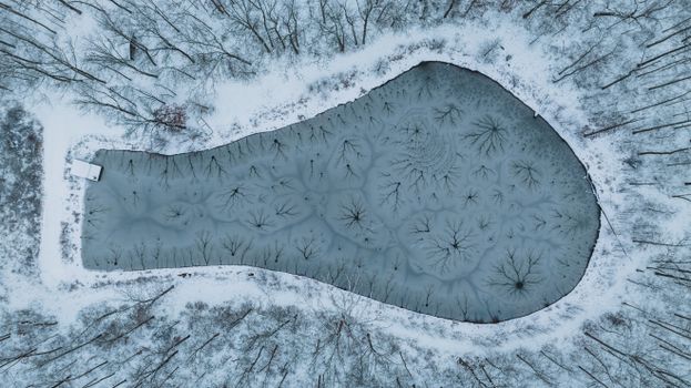 A pristine aerial shot of a frozen lake surrounded by snowy trees, capturing winter's serene beauty.