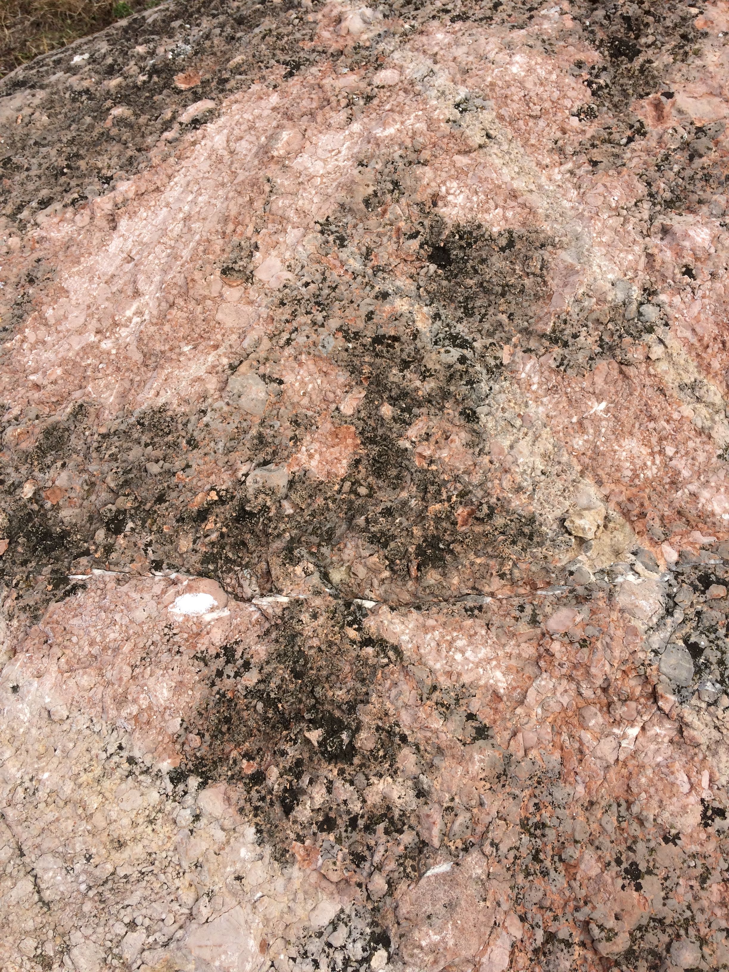 Detailed view of a granite rock surface showcasing natural textures and patterns.