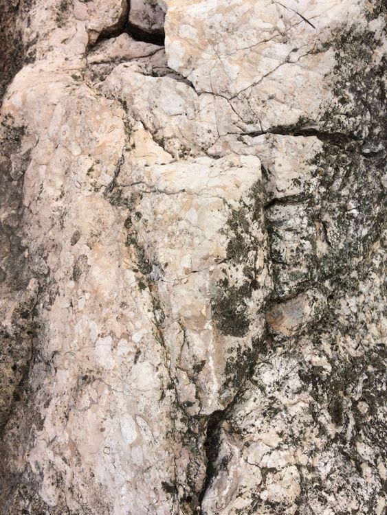 Close-up of Weathered Rock Surface Texture · Free Stock Photo