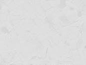 Textured White Abstract Background Art