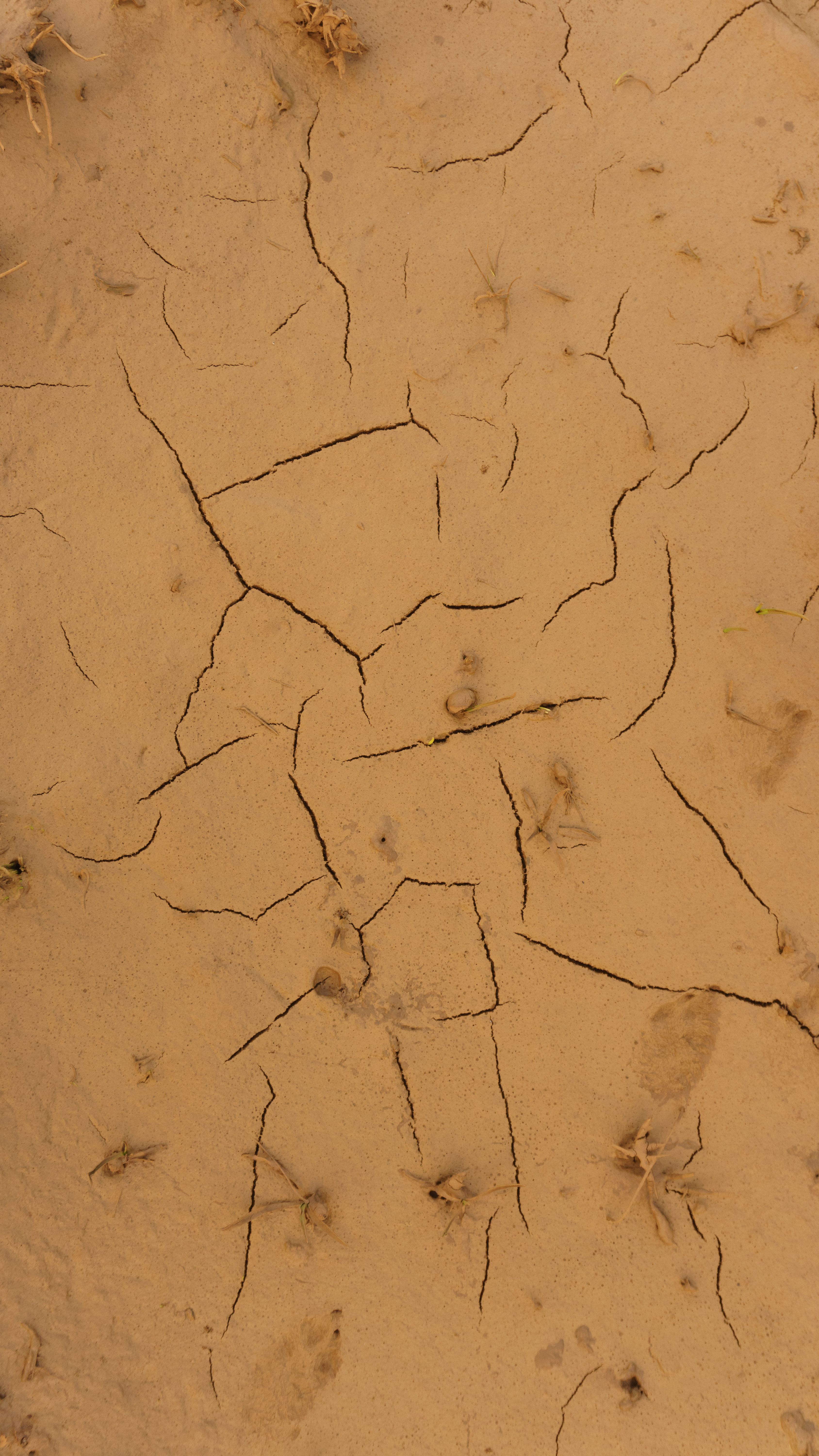 Fotomural Primer plano de una superficie de barro seco y agrietado, que muestra las condiciones áridas del desierto y el impacto de la sequía.