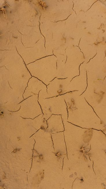 Fotomural Primer plano de una superficie de barro seco y agrietado, que muestra las condiciones áridas del desierto y el impacto de la sequía.