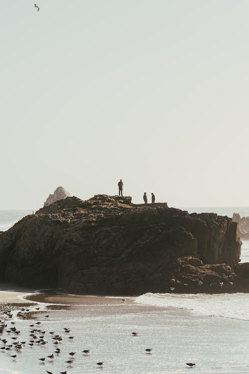 Free People on Rock Formation By The Sea Shore Stock Photo