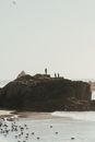 在明亮的天空下，三个人站在海岸岩石上，被海浪和海鸟包围