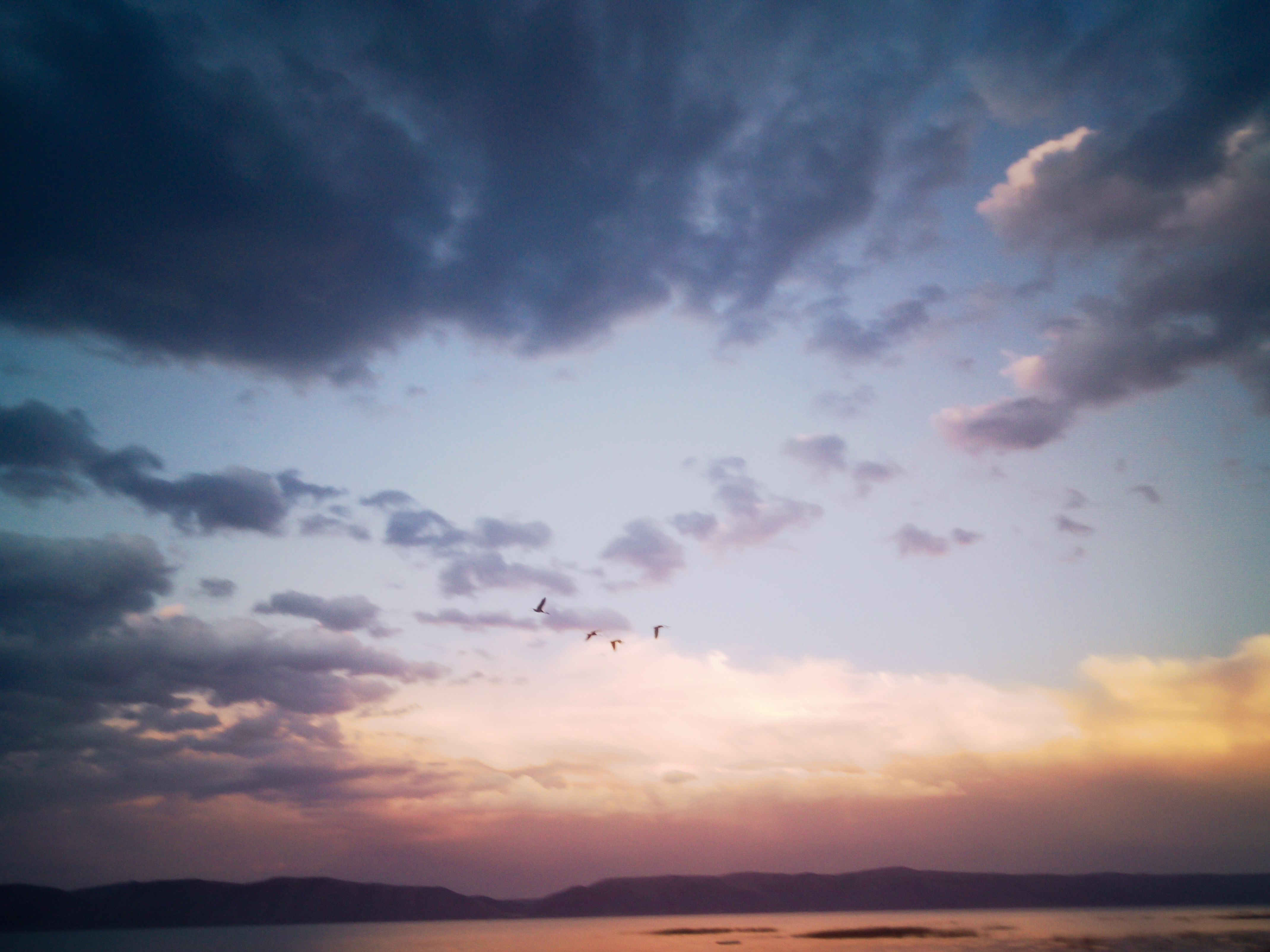 Serene Sunset Over Calm Lake with Birds · Free Stock Photo
