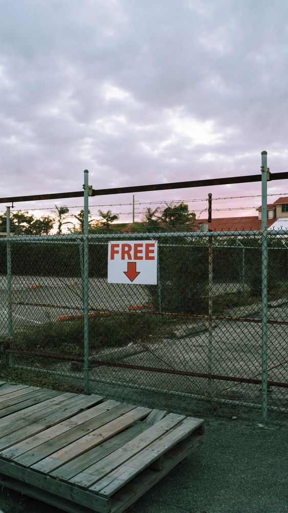 Bright Free Sign Free Sign Photos, Download The BEST Free Free Sign Stock Photos & HD Images