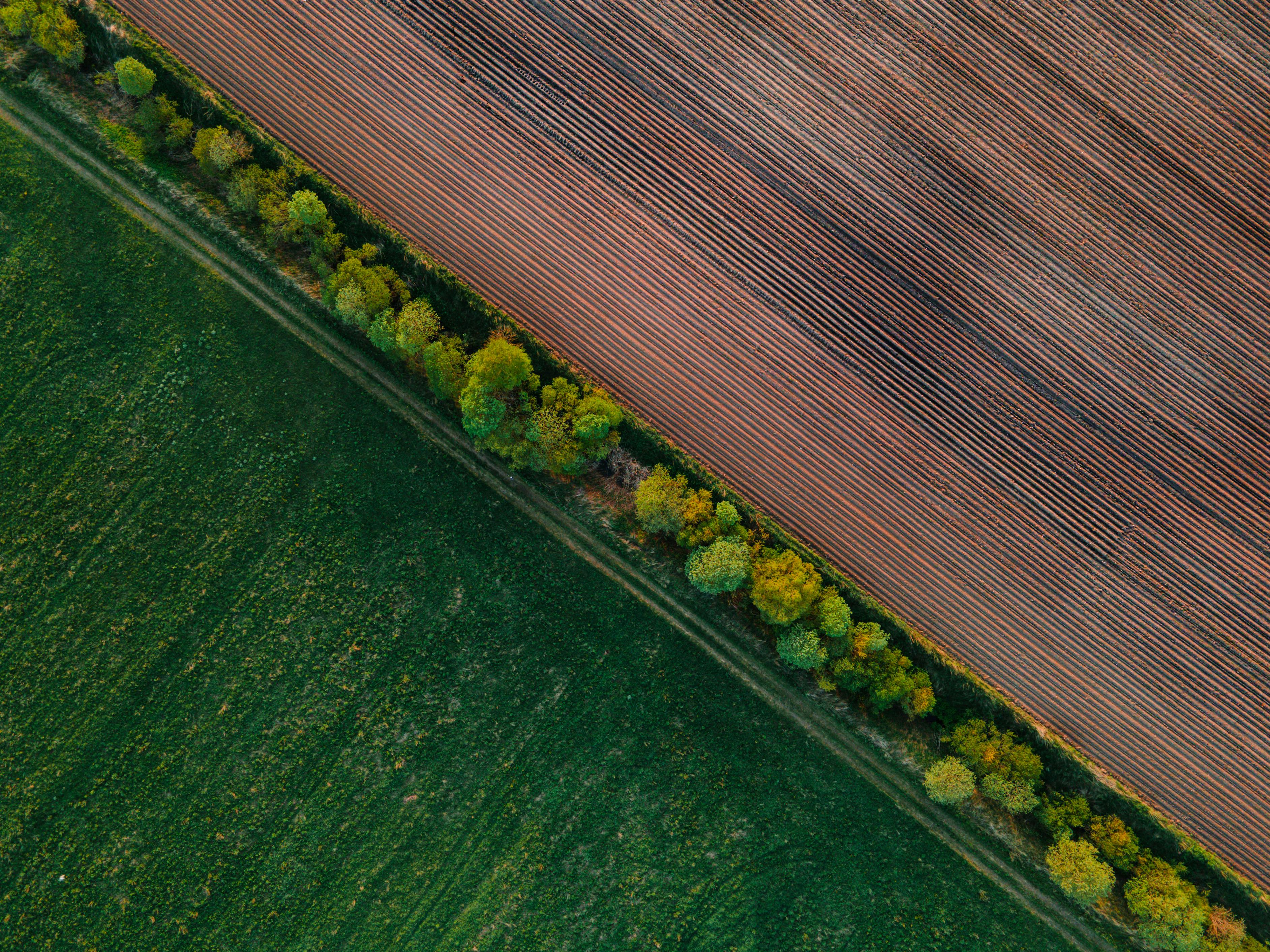 ACRES ESG, Executive Compensation, and Corporate Governance: 2025 SEC Filing Overview — Photo by Aleksandr Sochnev on Pexels