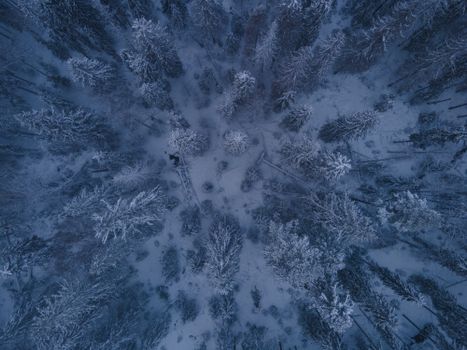 Aerial view capturing the serene beauty of a snow-covered winter forest.
