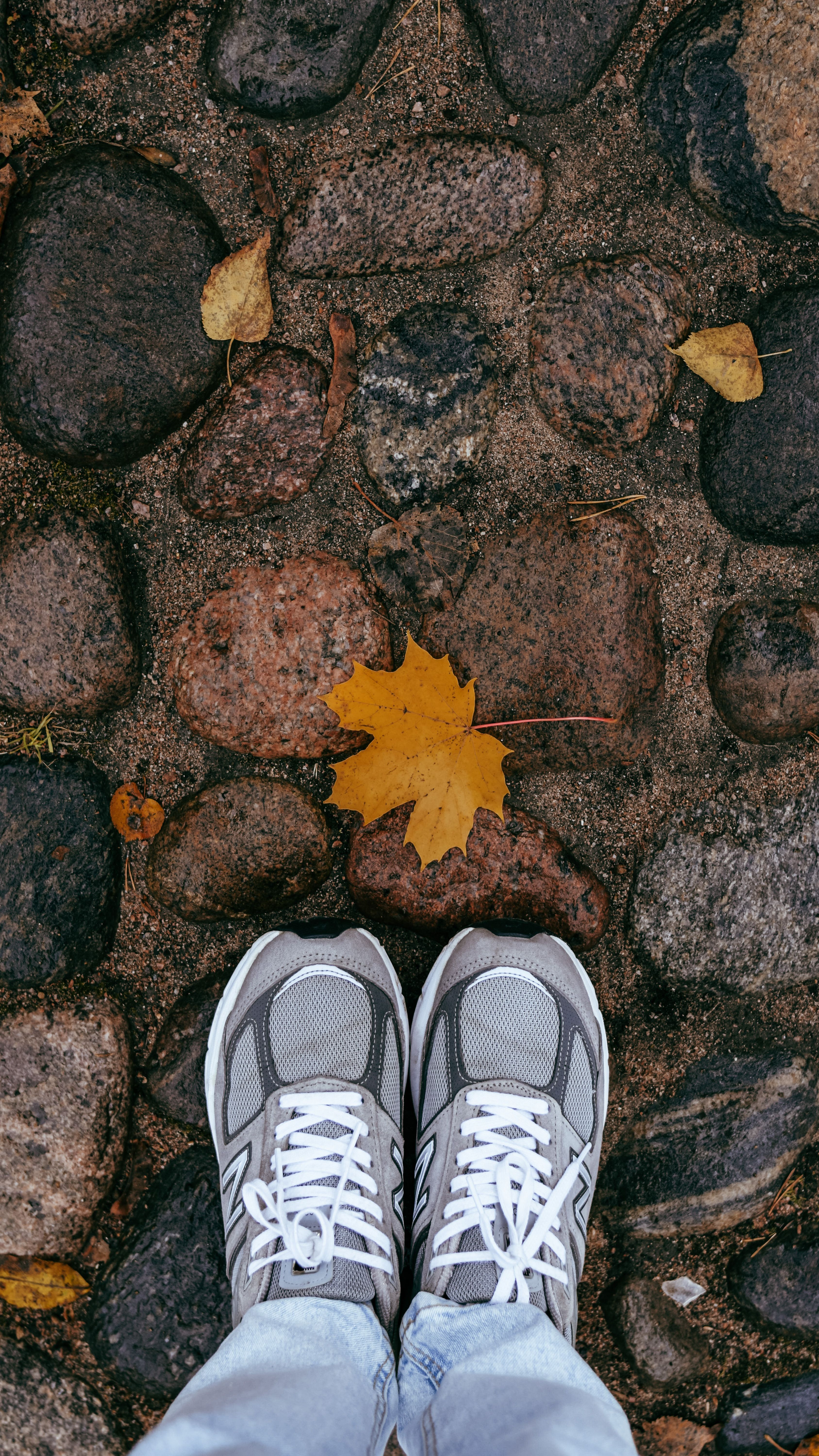 Leaves Movement Photos, Download The BEST Free Leaves Movement Stock ...