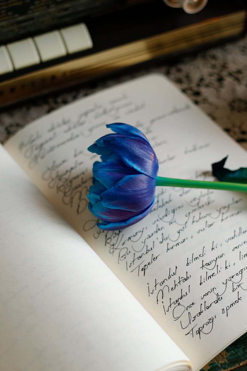 101 Romantic Ideas