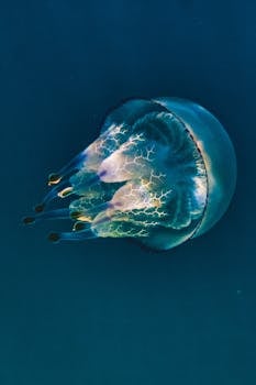Captivating close-up of a vibrant jellyfish swimming gracefully in the ocean.