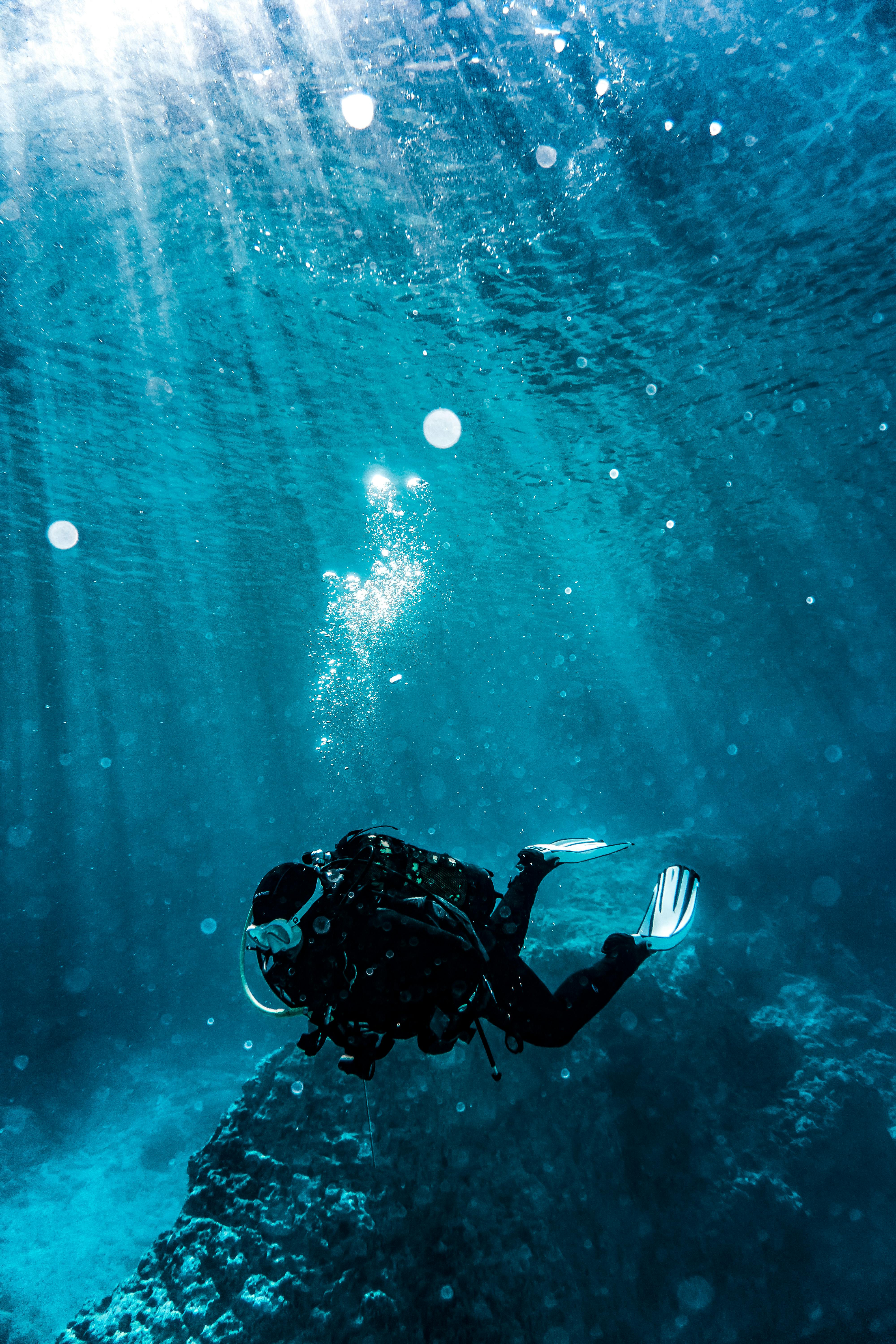 Scuba Diving Photos, Download The BEST Free Scuba Diving Stock Photos & HD  Images