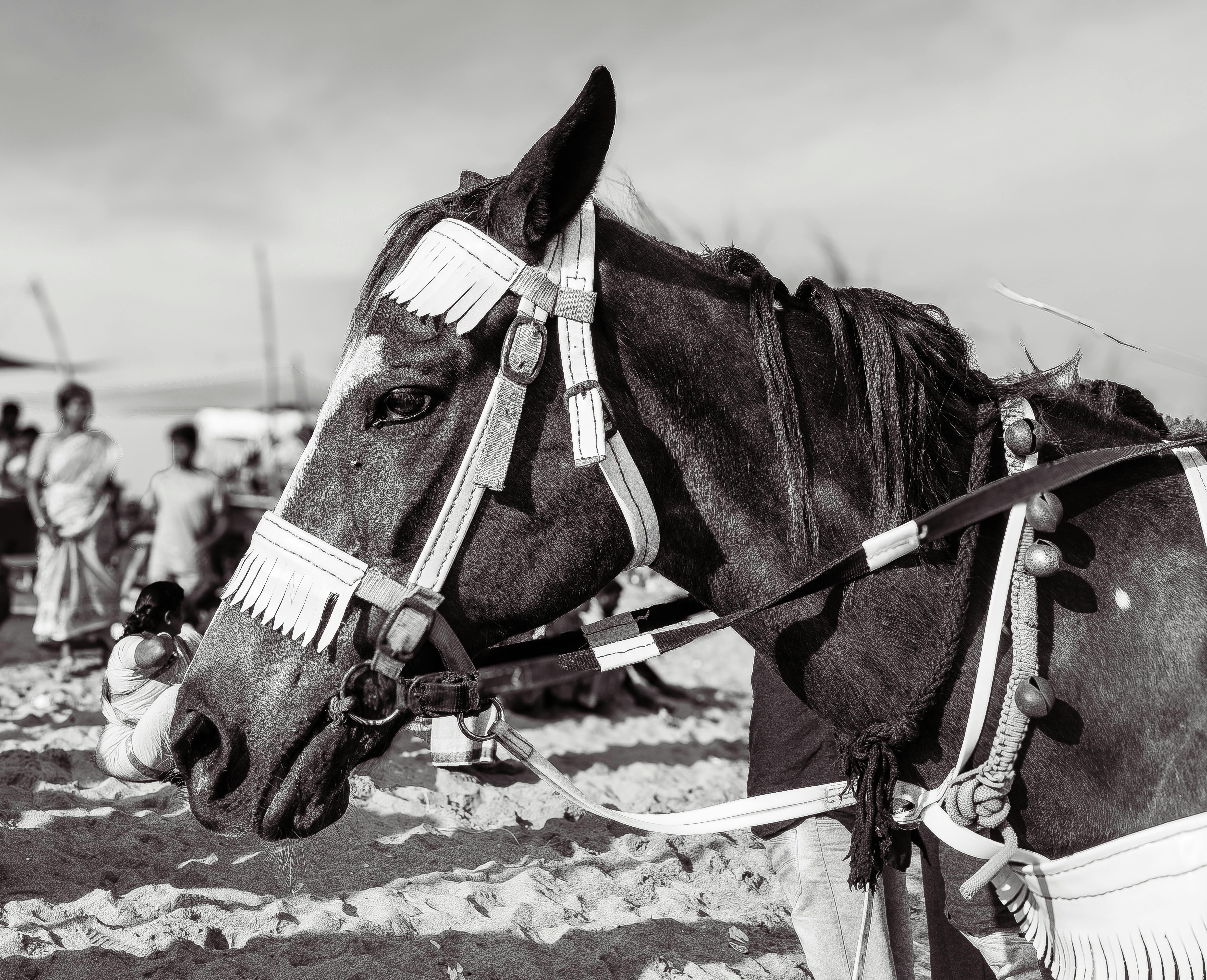 ‘Todd’s sort of lead horse’: Trump’s former criminal defense lawyer ascends DOJ — Photo by ManojMk Brucelee on Pexels
