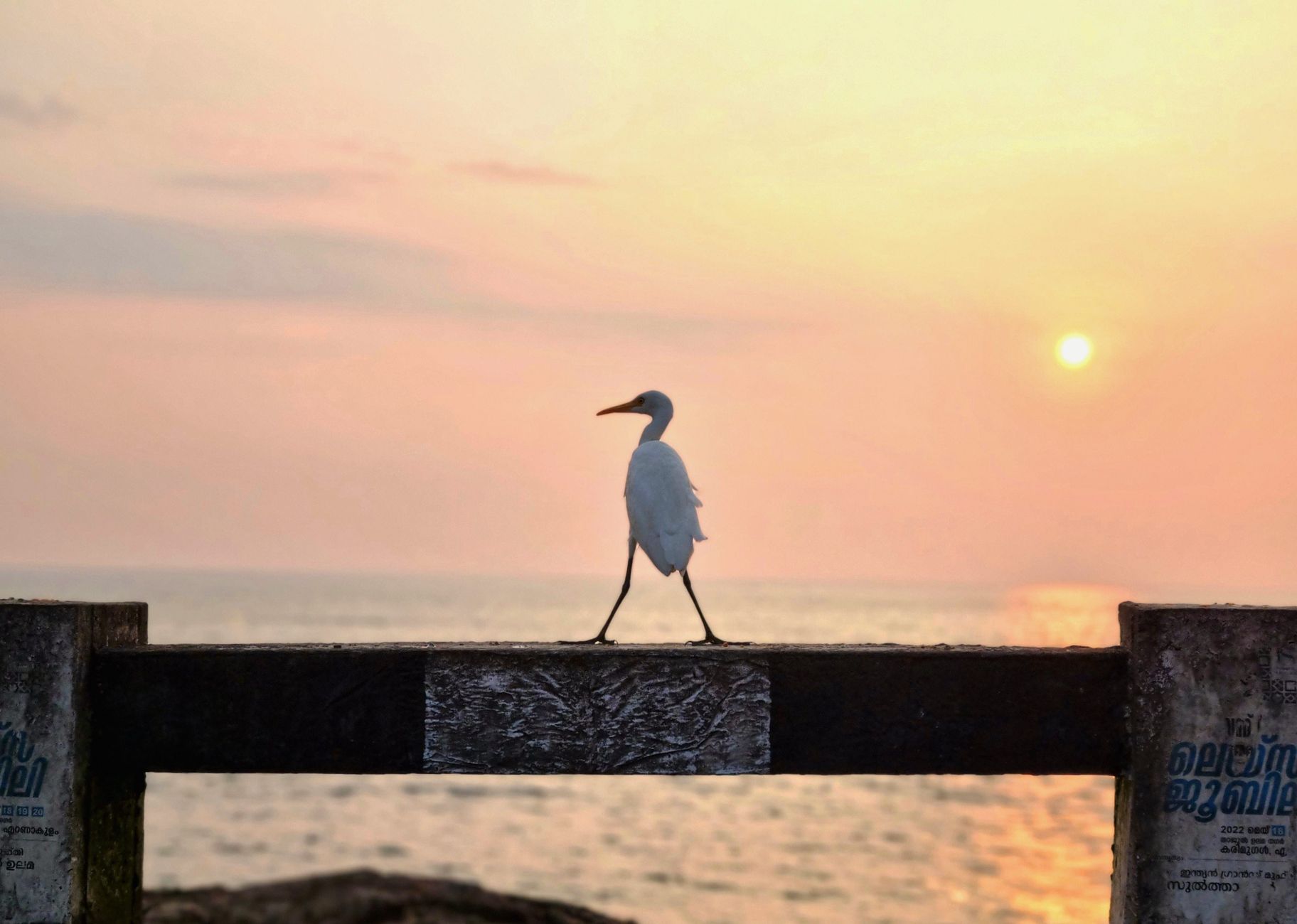 Trivandrum travel and vehicle rental photo 2