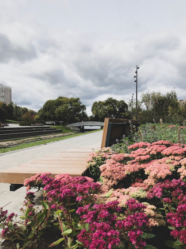 Nurek w krystalicznie czystej wodzie