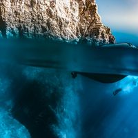 Diving