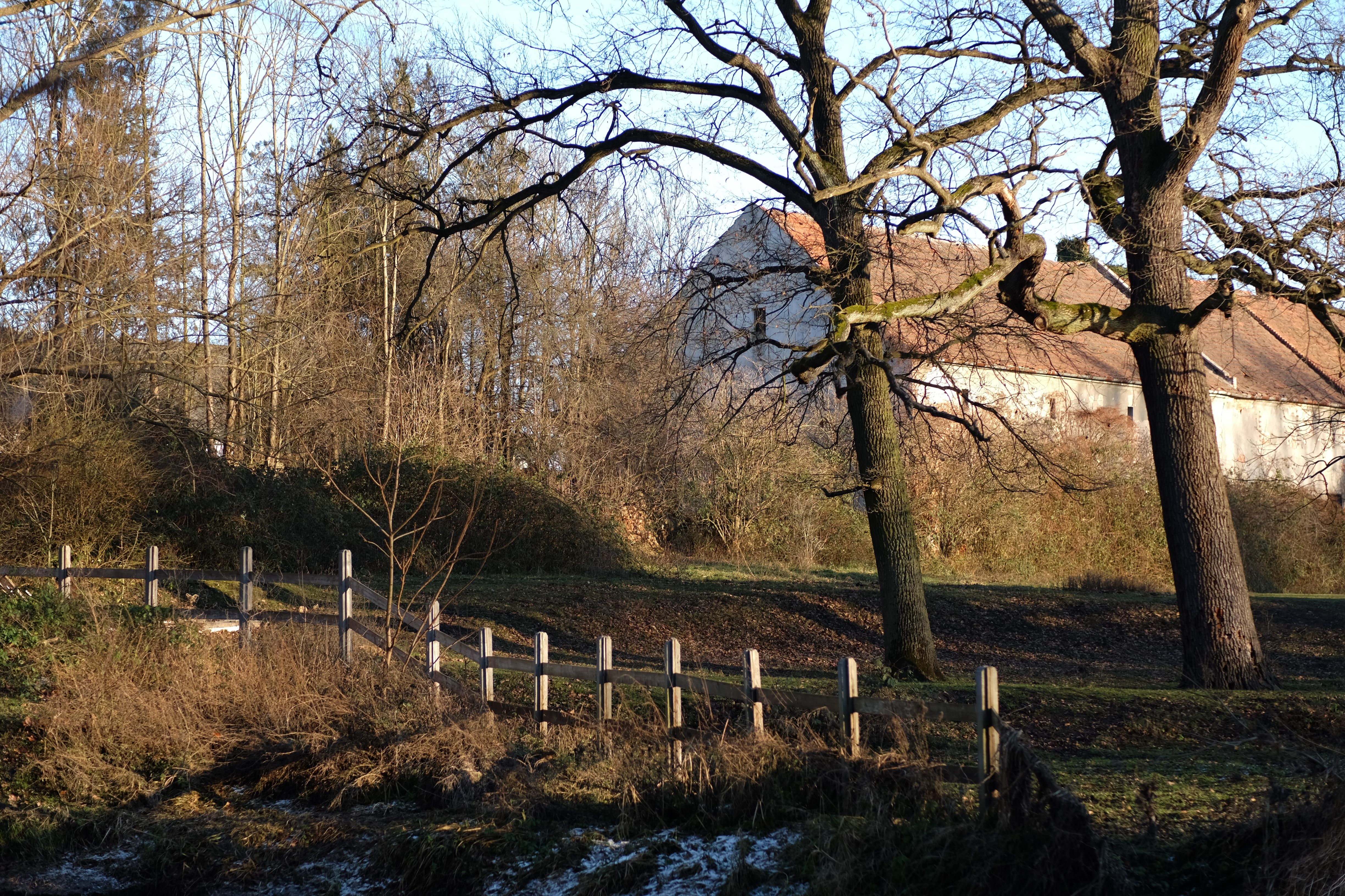 Charming Rural Landscape with Bare Winter Trees · Free Stock Photo