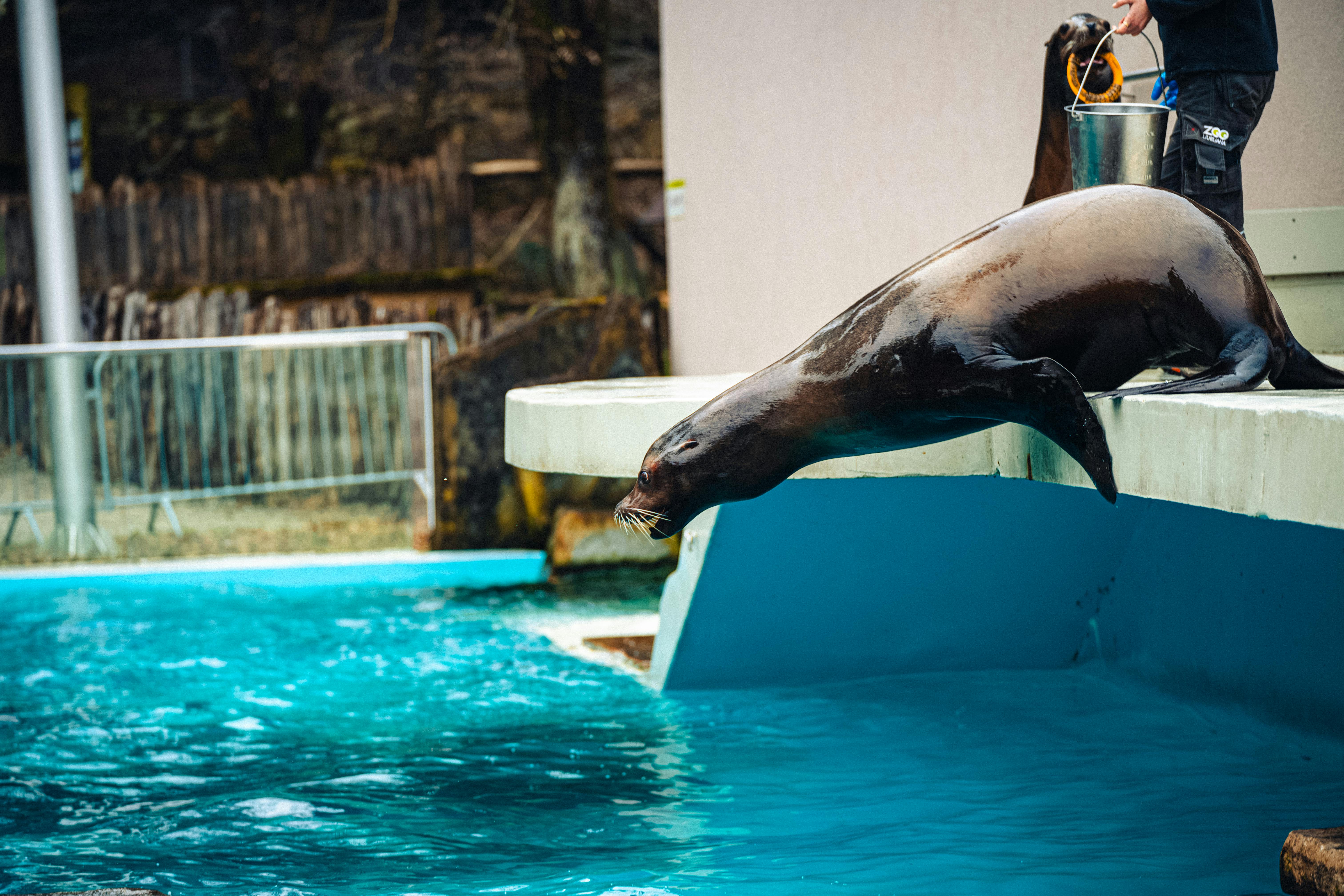 Family Friendly Tourist Attractions in Slovenia