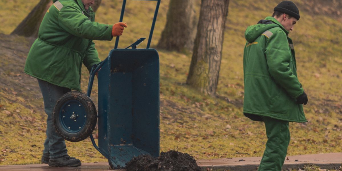 Landscaper trimming hedges and maintaining a residential front yard with professional equipment