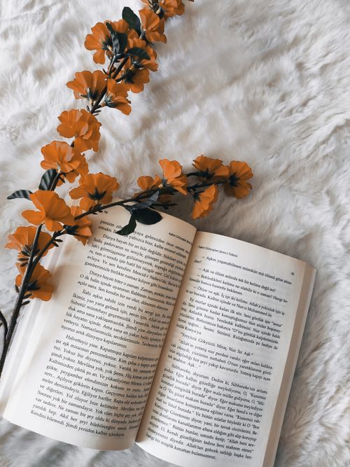 Free Open book with vibrant orange flowers on soft white fur, creating a cozy and inviting atmosphere. Stock Photo