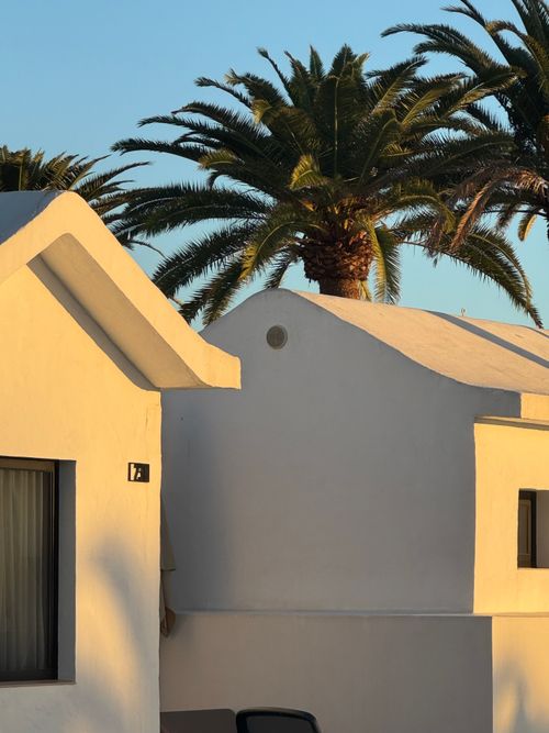 Free White villas under palm trees in the Canary Islands during sunset. Stock Photo