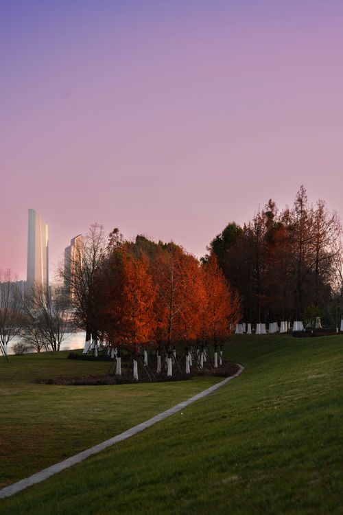 Free A tranquil park scene with vibrant autumn trees and a city skyline at dusk, perfect for seasonal themes. Stock Photo