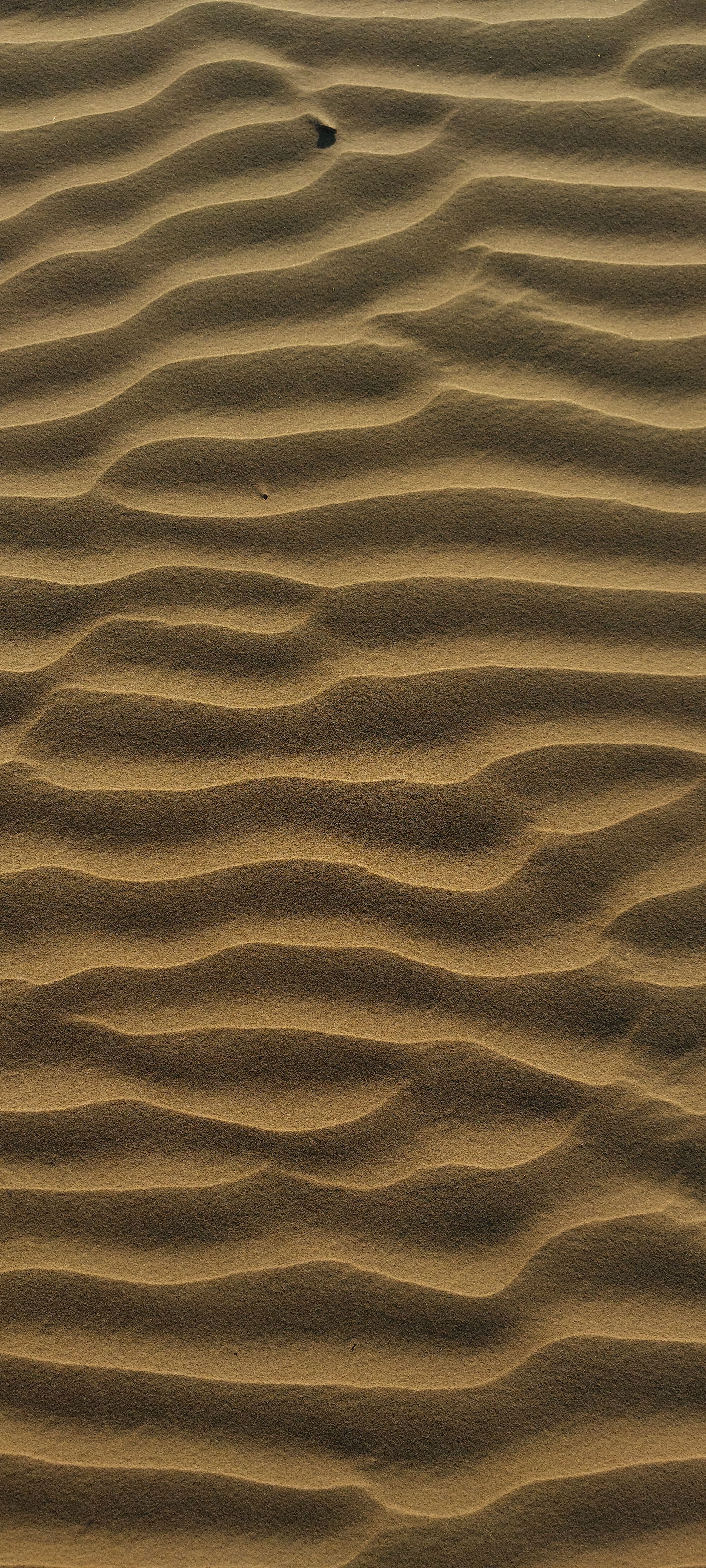 Gratis En fengslende luftfoto av bølgete sanddyner som viser naturlige ørkenmønstre. Arkivbilde