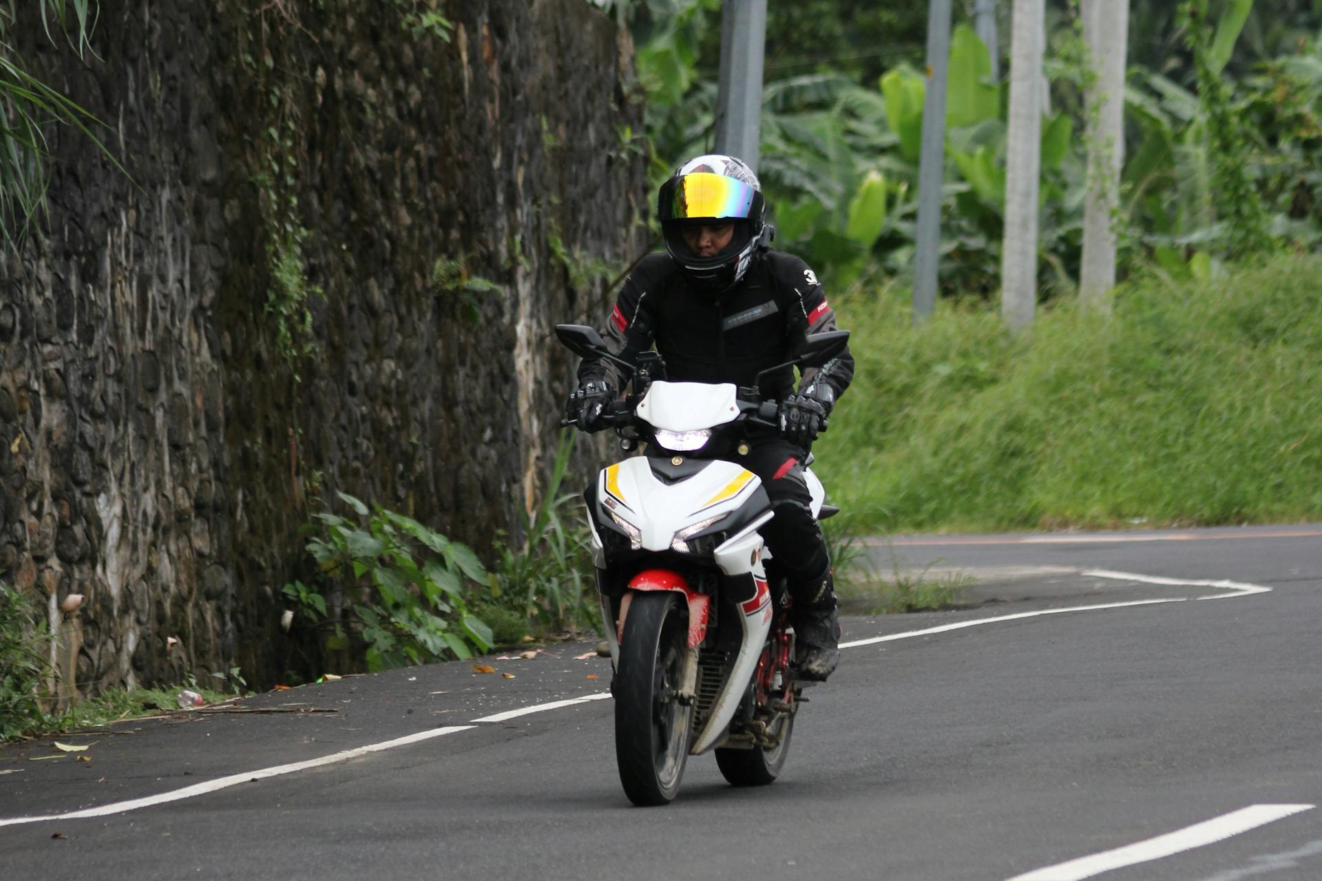 Motorcyclist in protective gear navigating a winding road lined with greenery.