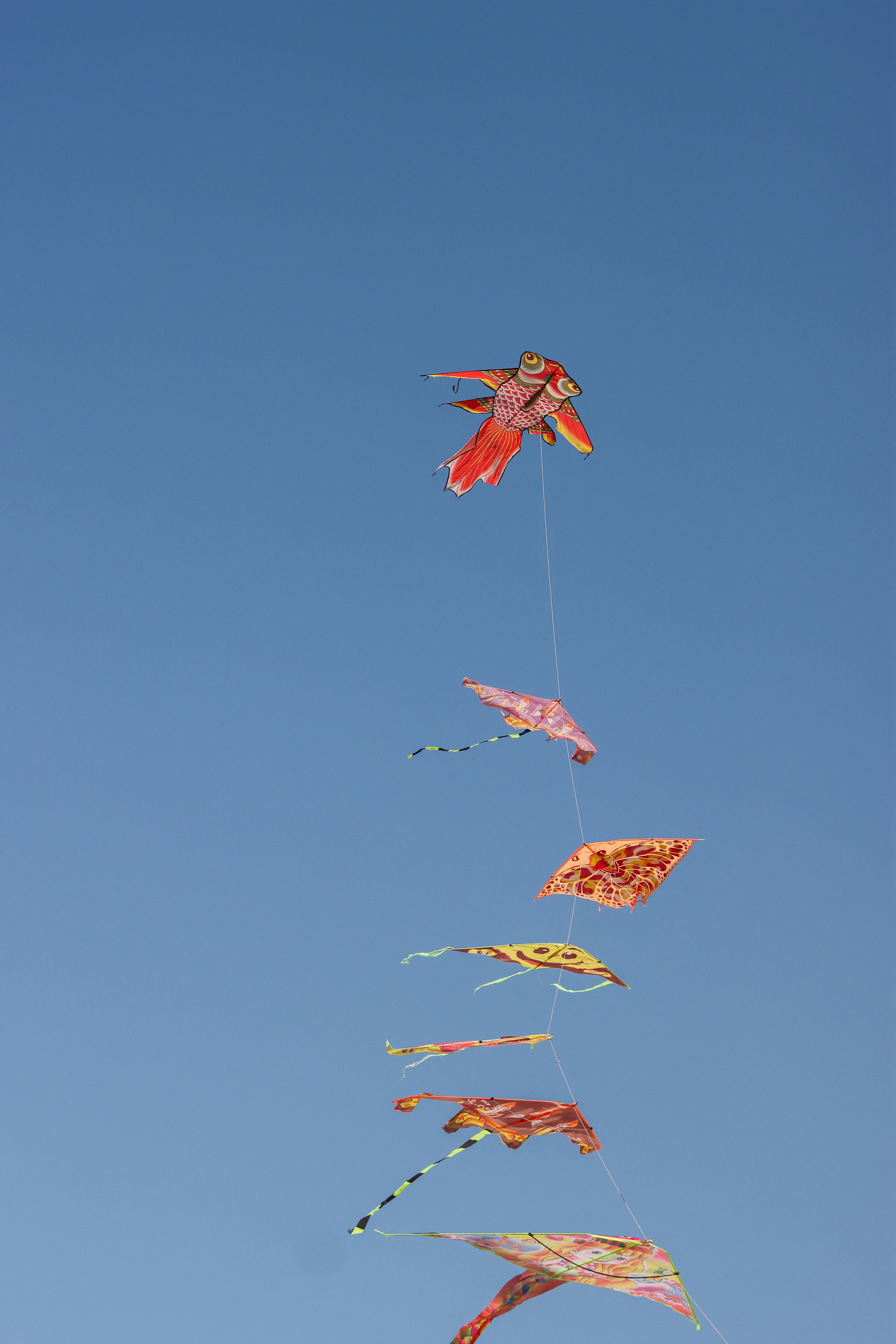 Vibrant kites soaring beneath a clear blue sky in Sardinia, Italy.