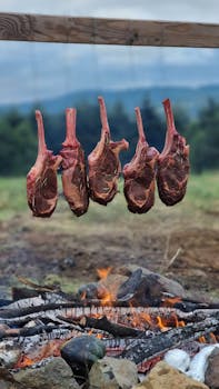 US Fed Governor Lisa Cook sues Trump over attempt to fire her
