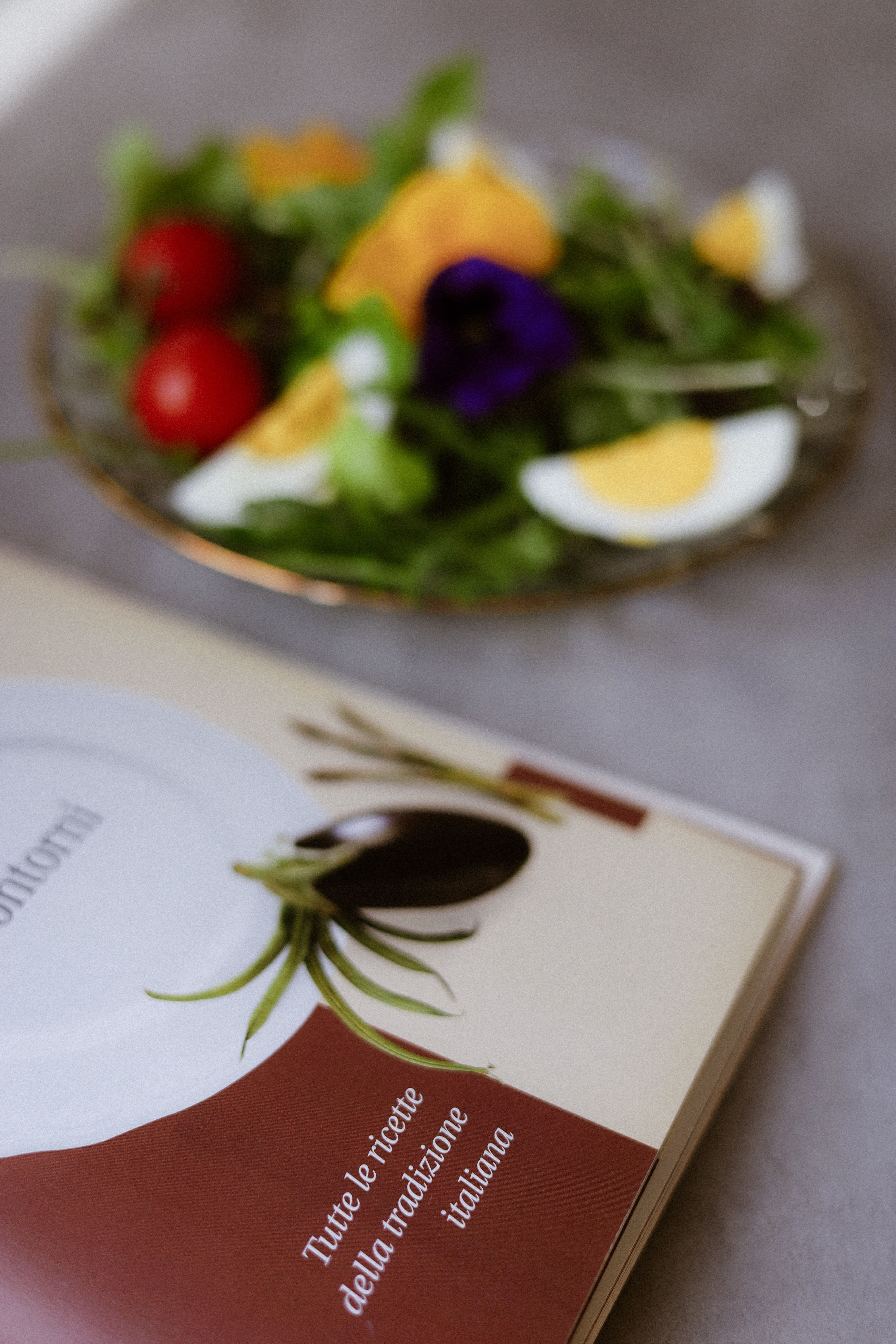 Cook Book Italian Recipes