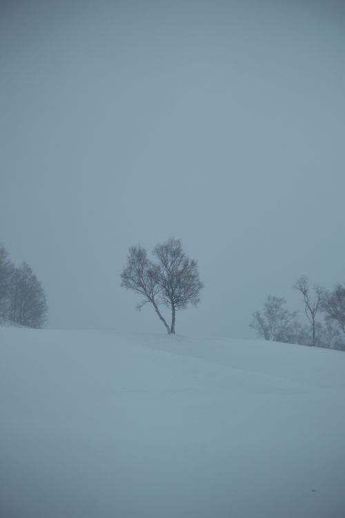 Minimal winter landscape — photo by Erik Schereder on Pexels