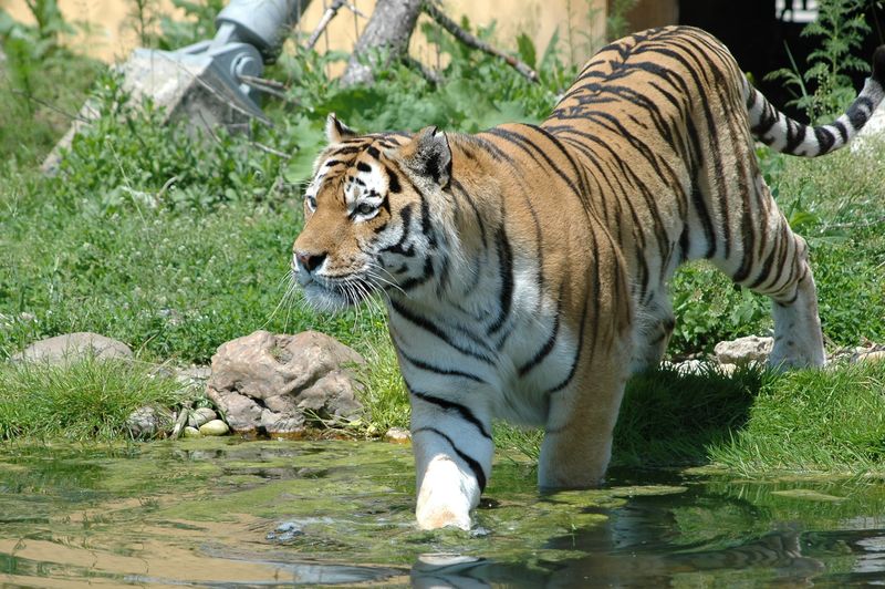 Zoo Tábor