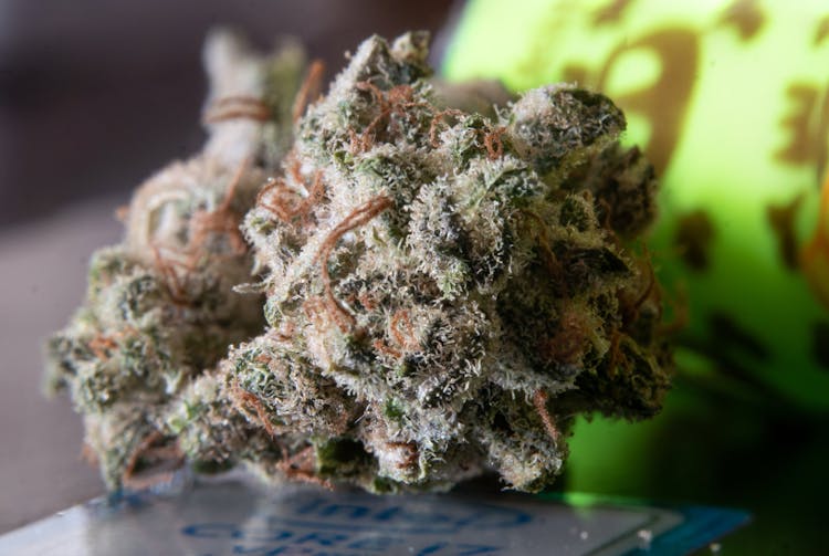 Macro Photography Of A Cannabis Bud