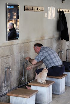 A man washing his hands at an ablution area with a cat observing him.