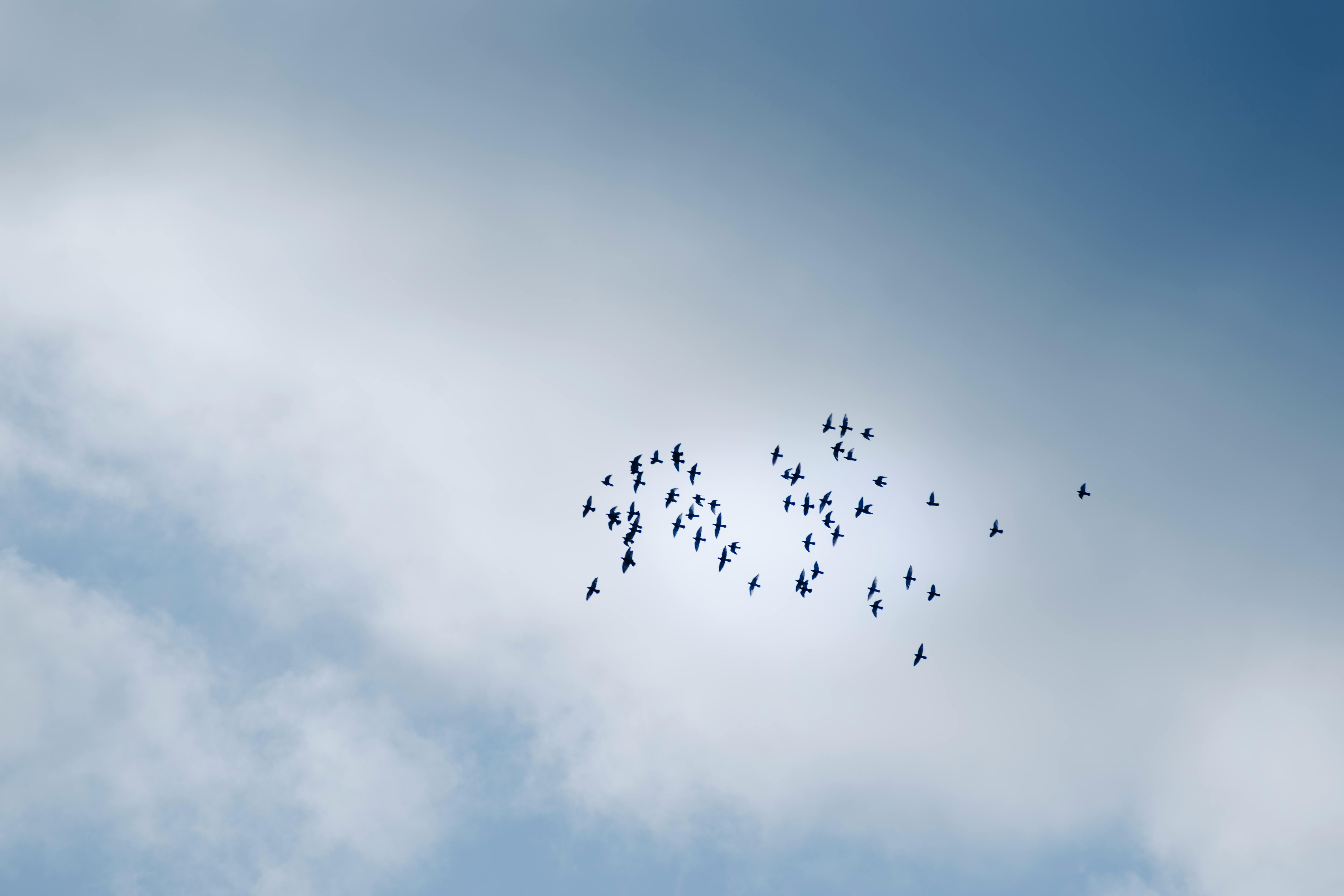 How to Earn Rewards for Free Private Flights