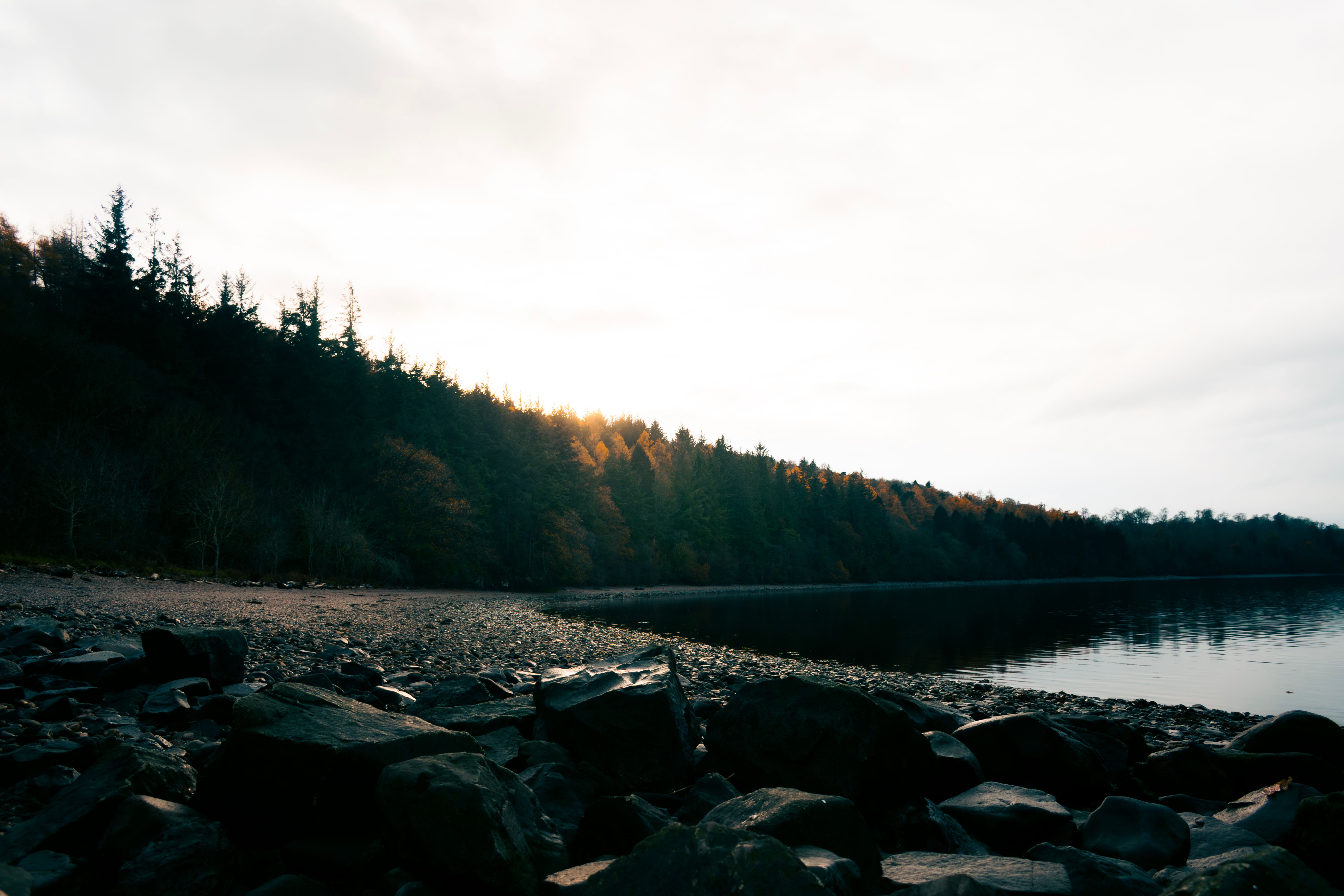 A tranquil lake in Scotland bordered by a lush forest under a sunset sky, perfect for nature lovers.