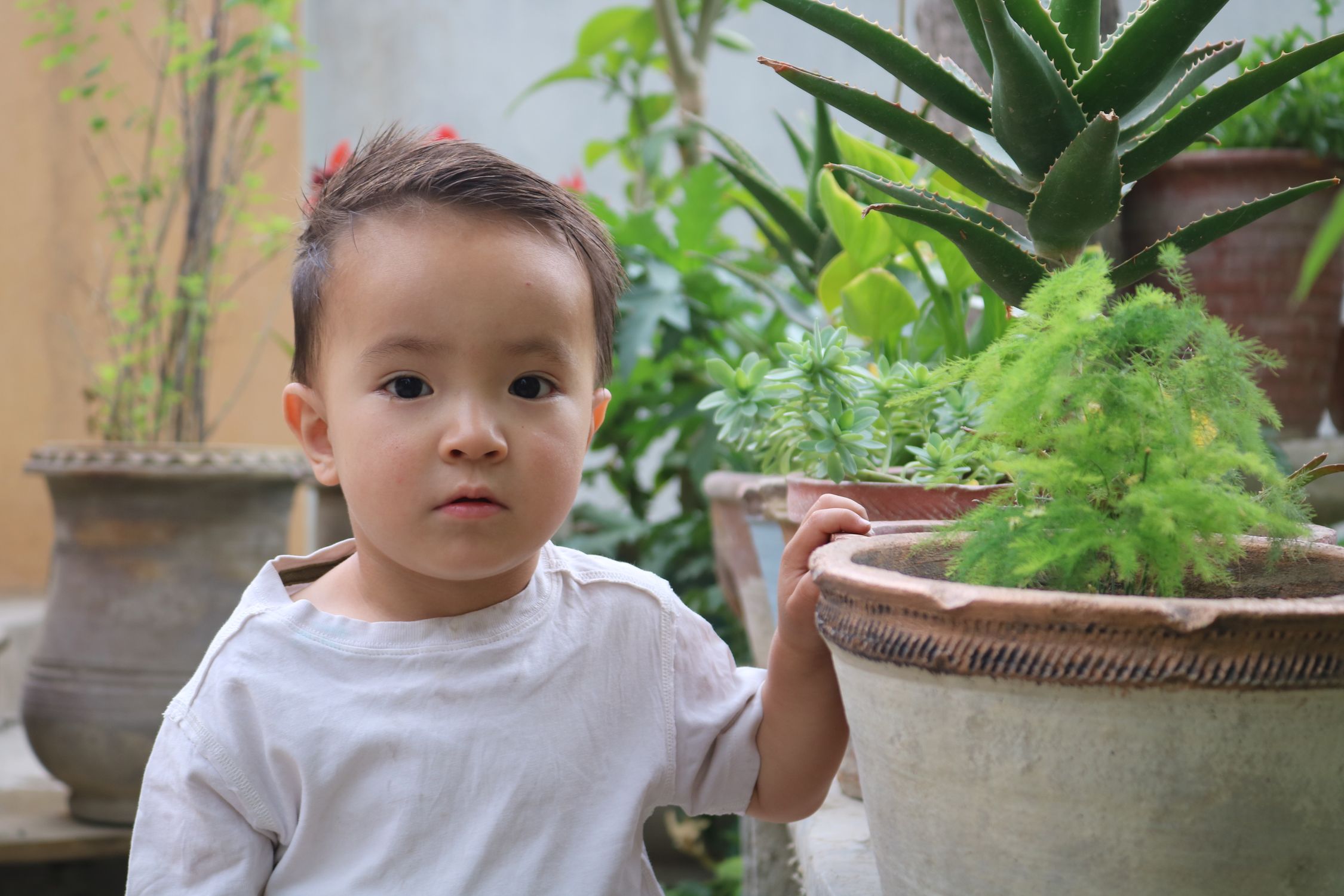 Exploring Small Small child exploring garden with potted plants · Free Stock Photo