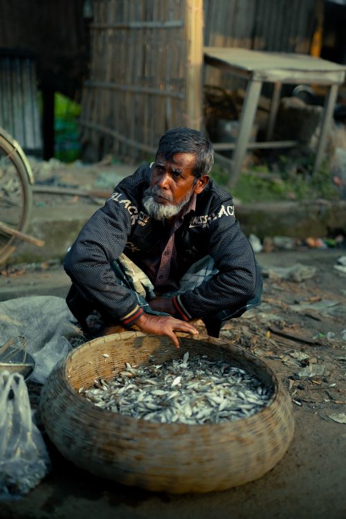 Free An elderly man selling fish in a traditional Bangladeshi market setting, showcasing local culture. Stock Photo